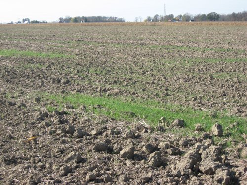 Property photo 1 - 60 Acres Productive Tillable Land
